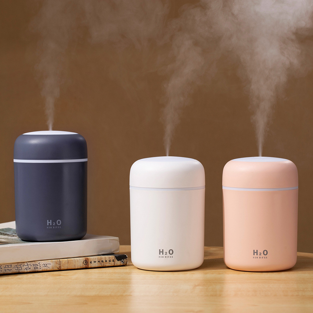 Mini Ultrasonic Air Humidifier & Essential Oil Diffuser