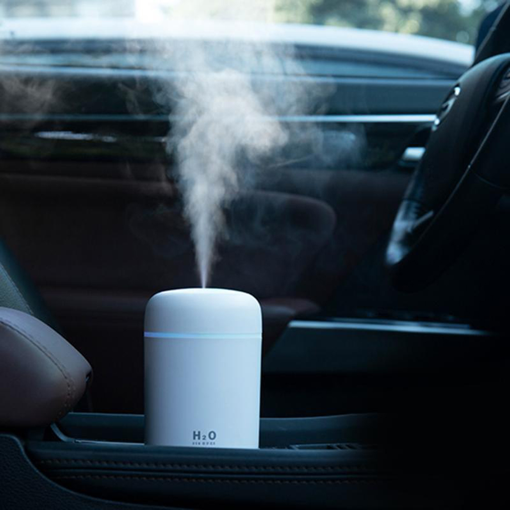 Mini Ultrasonic Air Humidifier & Essential Oil Diffuser